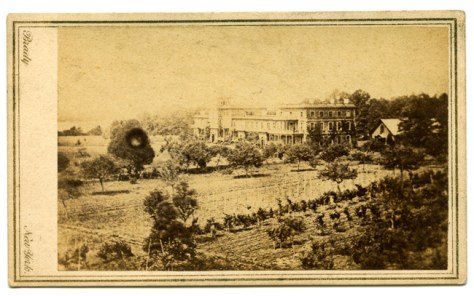 Pleasant Valley Winery, Hammondsport, NY Carte de Visite by Matthew Brady