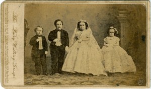 Brady's Fairy Wedding