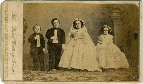 Brady's Fairy Wedding