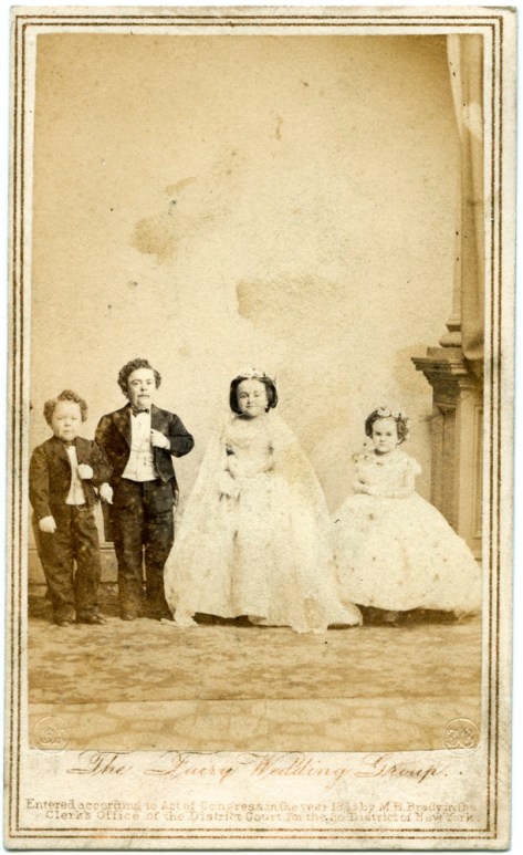 Fairy Wedding Group #3