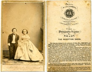 The Reception Dress, The Fairy Wedding