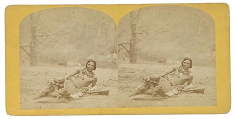 Hamilton & Hoyt, Standing Buffalo Stereoview