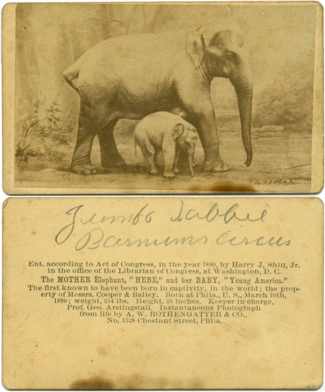 Hebe the elephant and "Young America" her baby Hebe the elephant and "Young America" her baby