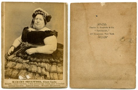 MadameSherwood, by C.D. Fredericks