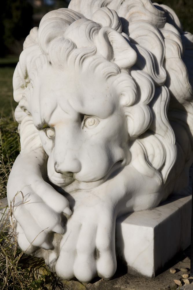 Garden Lion, Montpelier Garden Lion, Montpelier