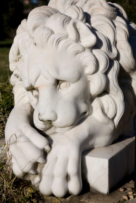 Garden Lion, Montpelier