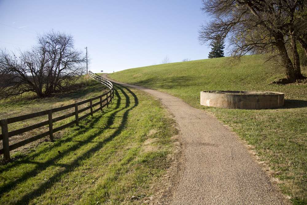 Lane to Visitor's Center, Montpelier Lane to Visitor's Center, Montpelier