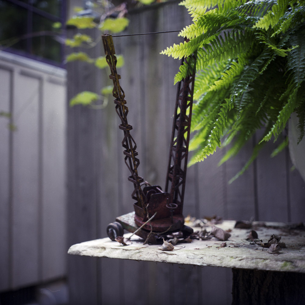 Rusted Toy, Henry's Garden Rusted Toy, Henry's Garden