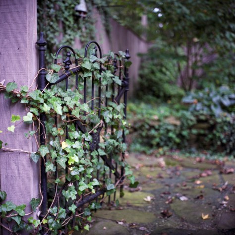 Iron Gate, Henry's Garden