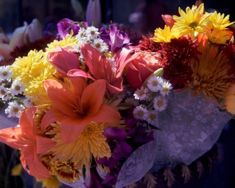 Flowers #1, Rolleinar 1