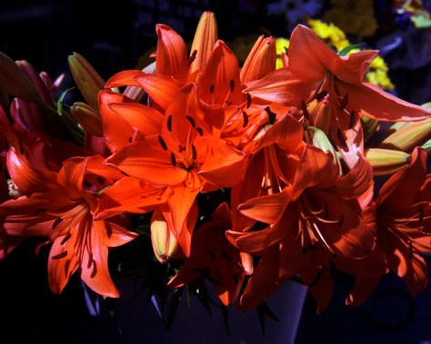 Flowers #2, Rolleinar 1