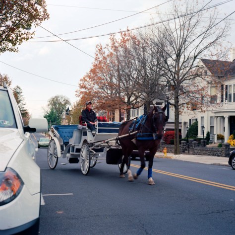 Horse Carriage
