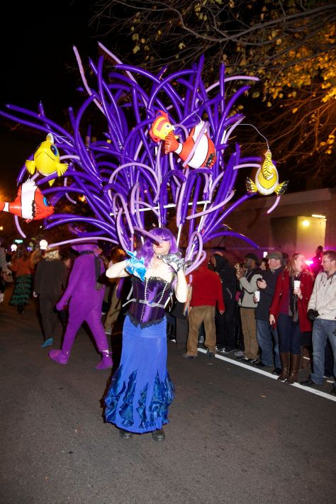 Purple Gay Barrier Reef Coral