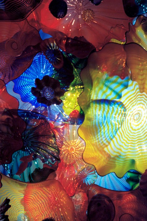 Ceiling, Chihuly Exhibit, Richmond, VA