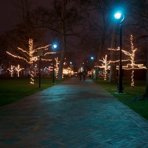 Franklin Park Allee