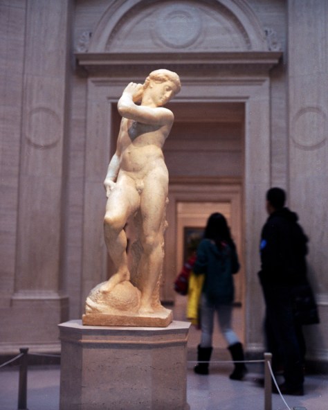 Michelangelo's David/Apollo
