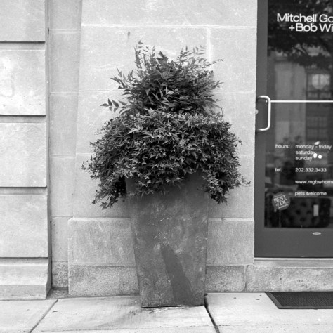 Everyday Objects- Planter