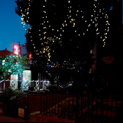 Tree Lights, 14th Street