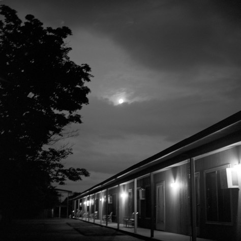 The Birchwood, Moonlight