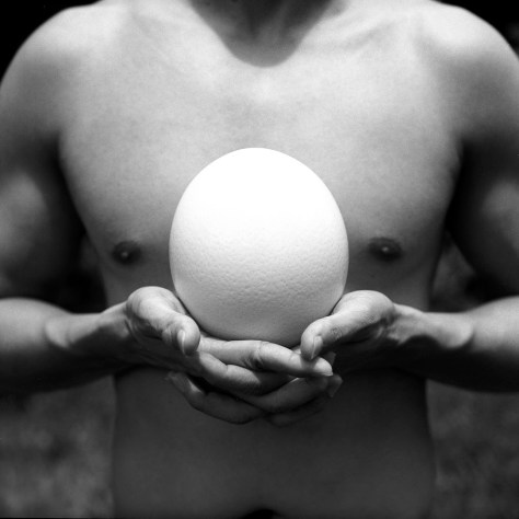 Chern K - Ostrich Egg