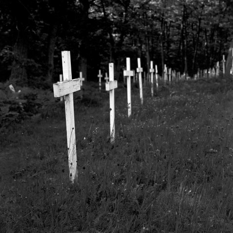 Crosses, St. Ignatius Cemetery