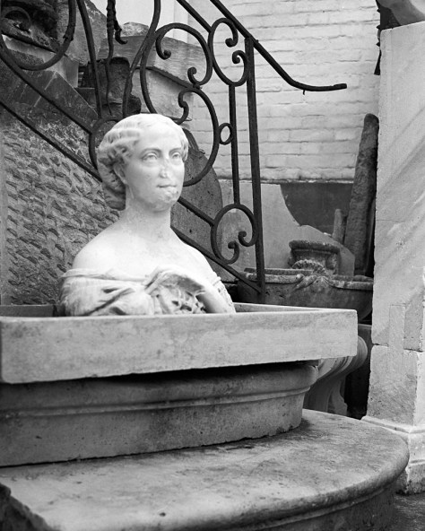 Marble Bust, Versailles