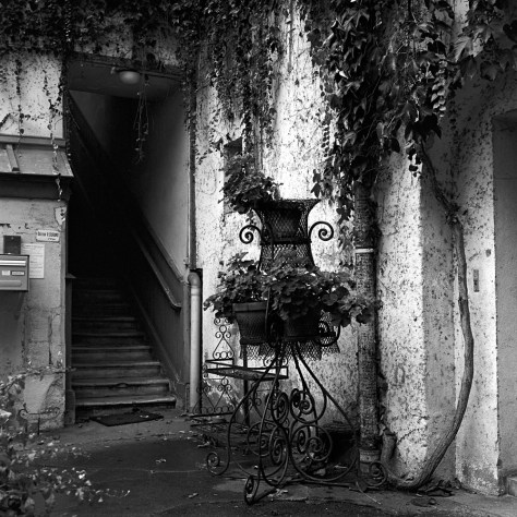 Stairs, Planter, Courtyard, Chalon