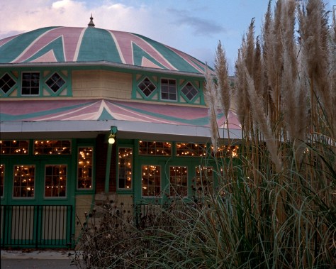 Carousel, Grasses, Twilight