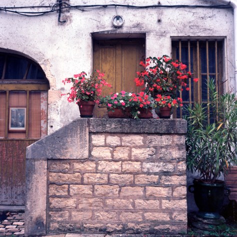 Geraniums, Stairs, Courtyard, Chalon