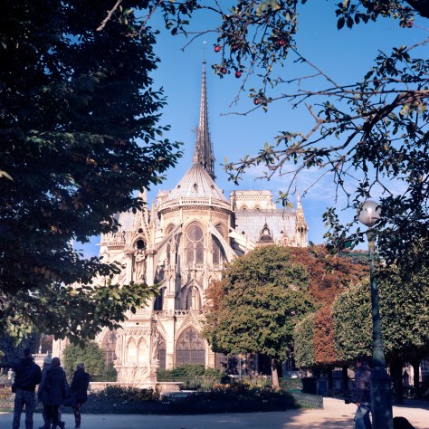 Notre Dame, Apples