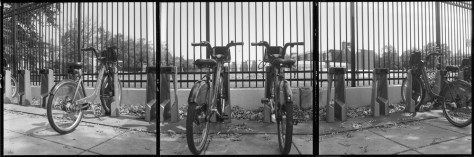 Bikeshare Panorama