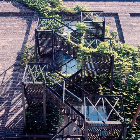 Ivy, Fire Escape, Distillery District