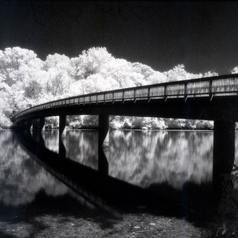 Bridge to Teddy Roosevelt Island