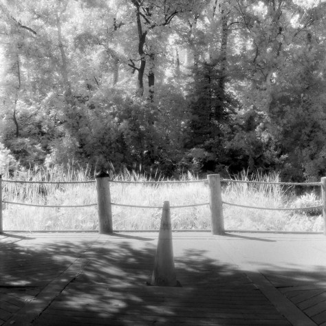 Safety Cone, Marsh Overlook, Teddy Roosevelt Island