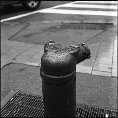 Siamese Standpipe, Rain