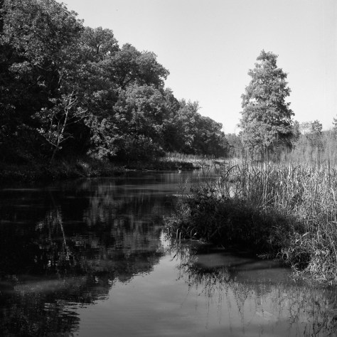 Estuarine Inlet, Roosevelt Island