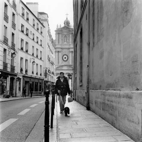 Dog Walk, Rue Sevigny, Paris