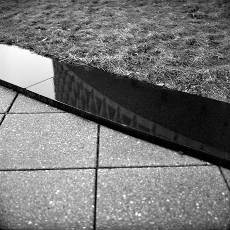 Pavers, Reflection, Grass
