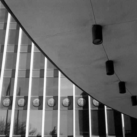 Eaves, World Health Organization