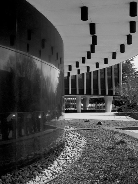 World Health Organization Curves