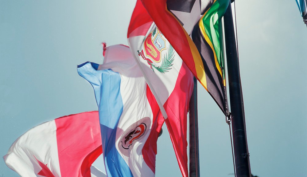 Flags, Pan-American Health Organization