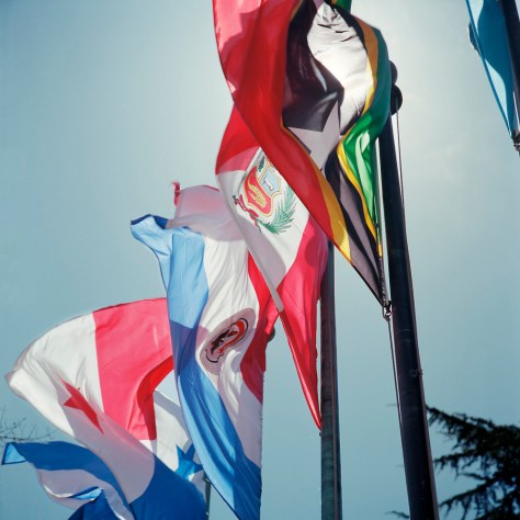 Flags, Pan-American Health Organization