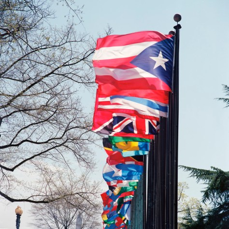 Flags, Pan-American Health Organization