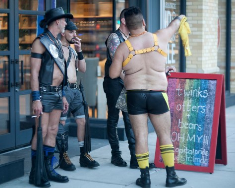 Twinks, Otters and Bears, oh my!