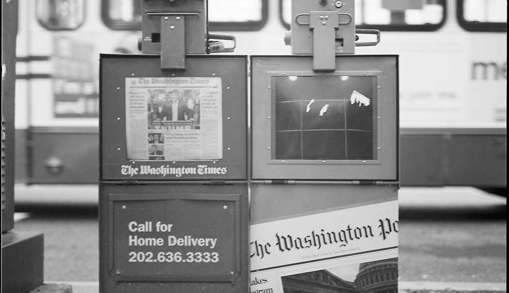 Sibling Rivalry - Two Paper Boxes