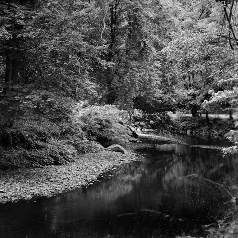 Gravelly Bend, Rock Creek