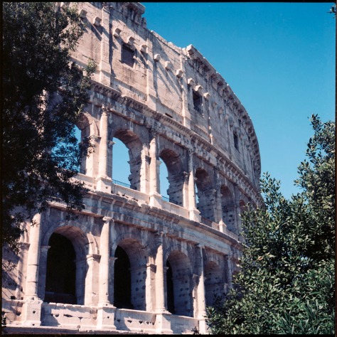 Colosseum Exterior, Trees