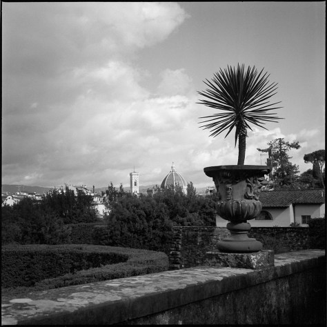 The Duomo From the Boboli Gardens