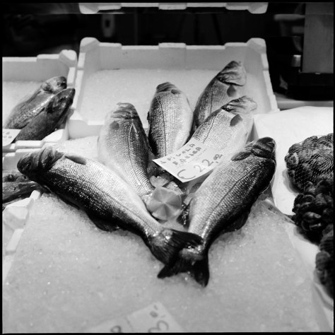 Fish, Mercato Centrale