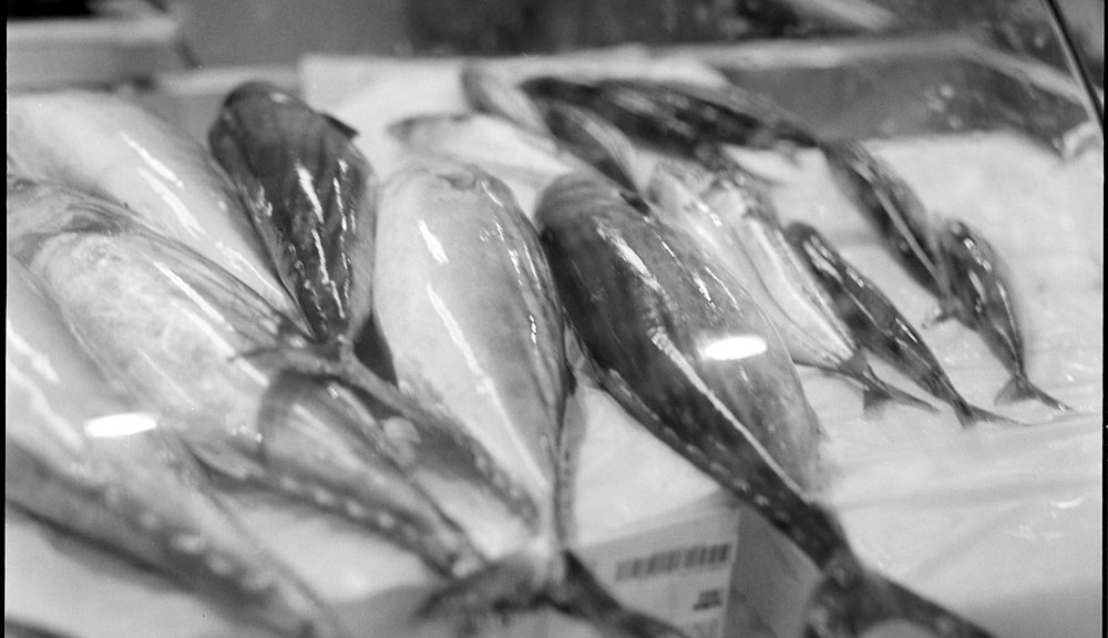 Fish, Mercato Centrale